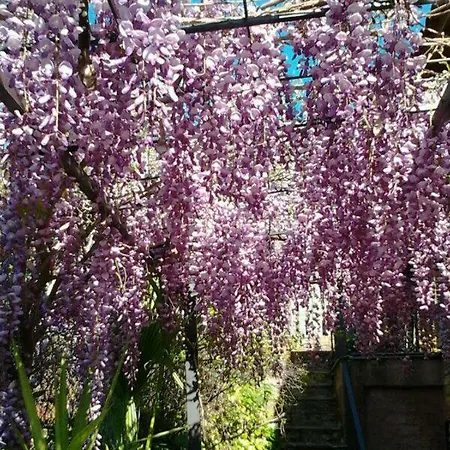 Country house Alqueria De Hurdes Horcajo (Caceres)