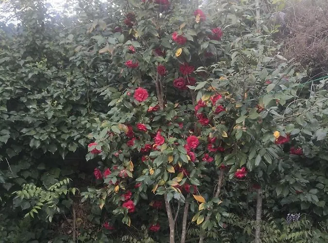 Alqueria De Hurdes Casa di campagna *