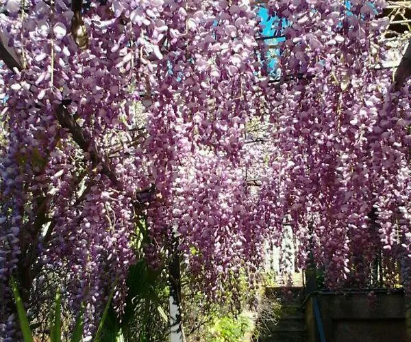 Country house Alqueria De Hurdes Horcajo (Caceres)